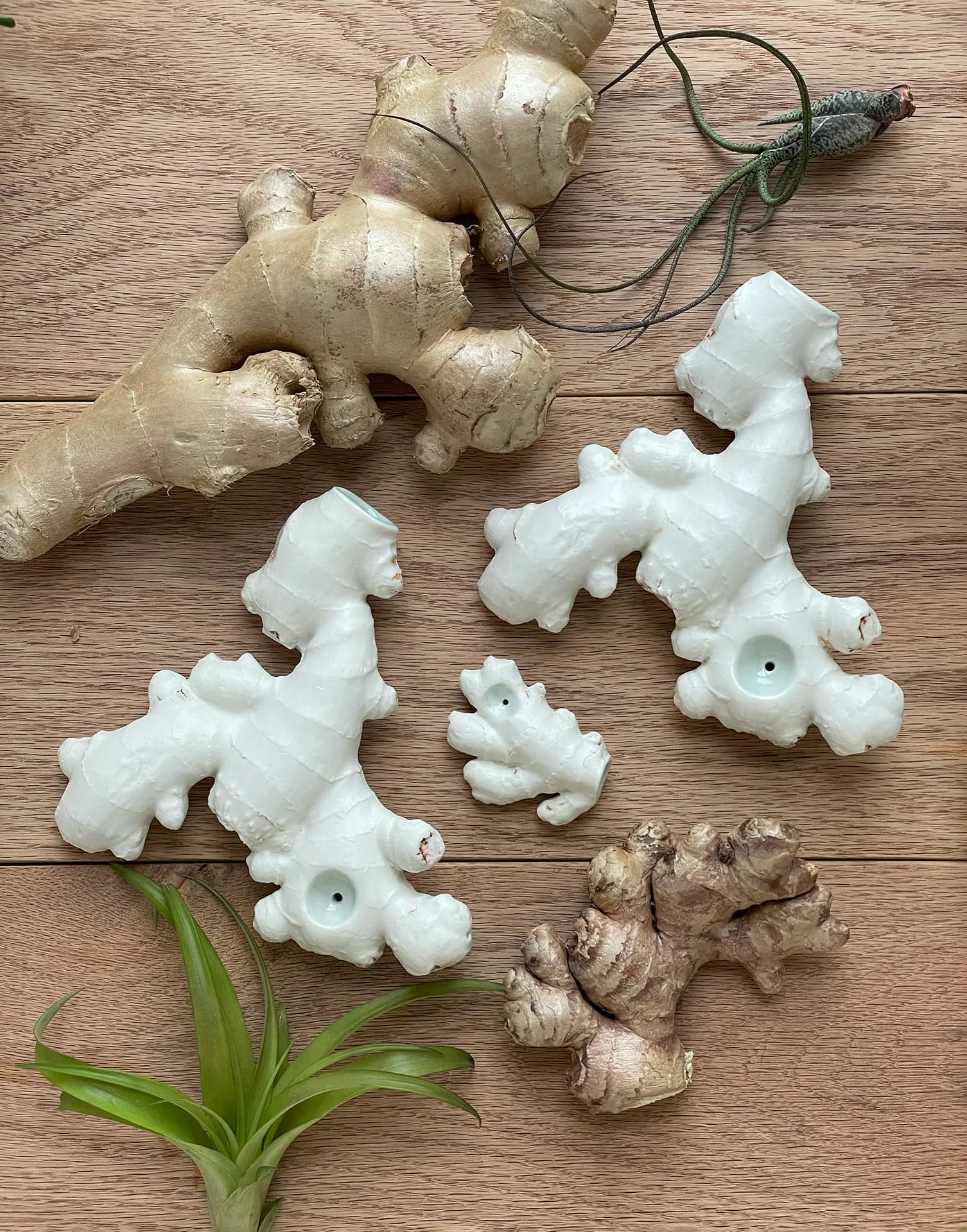 Artwork 02 by Alana Salcer