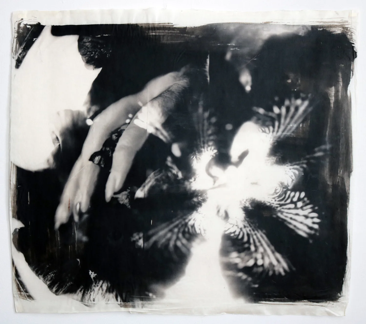 Black and white photographic work on paper showing a hand with long nails reaching toward an iris flower, with dramatic tonal contrast