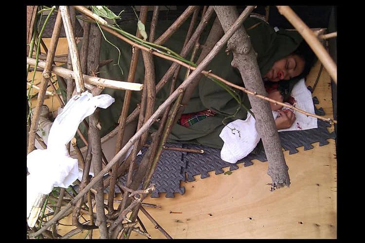 Installation artwork featuring a person nestled among tangled branches and mangrove roots in shallow water, wearing white bandages or wrappings on limbs.