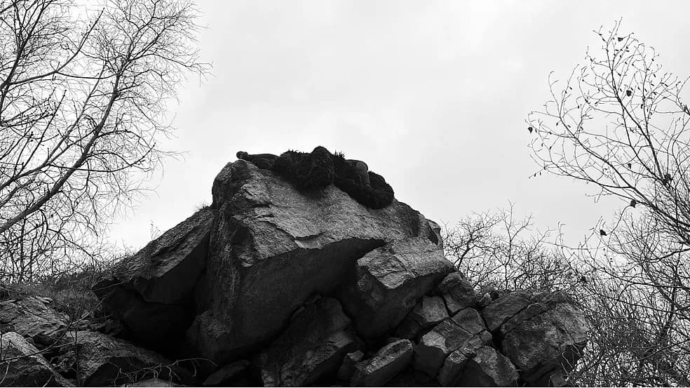 Hero artwork by Allison Halter