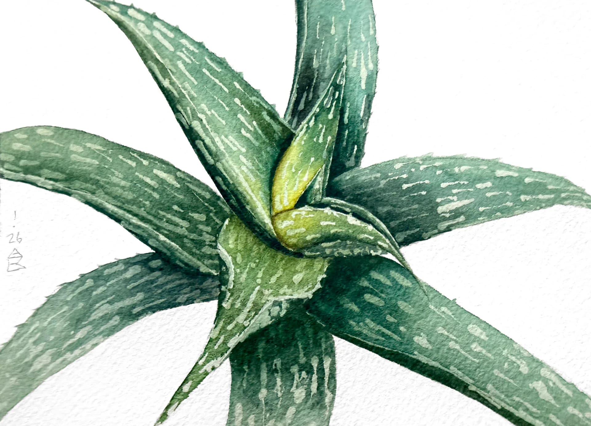 Artwork 02 by Allison Maletz