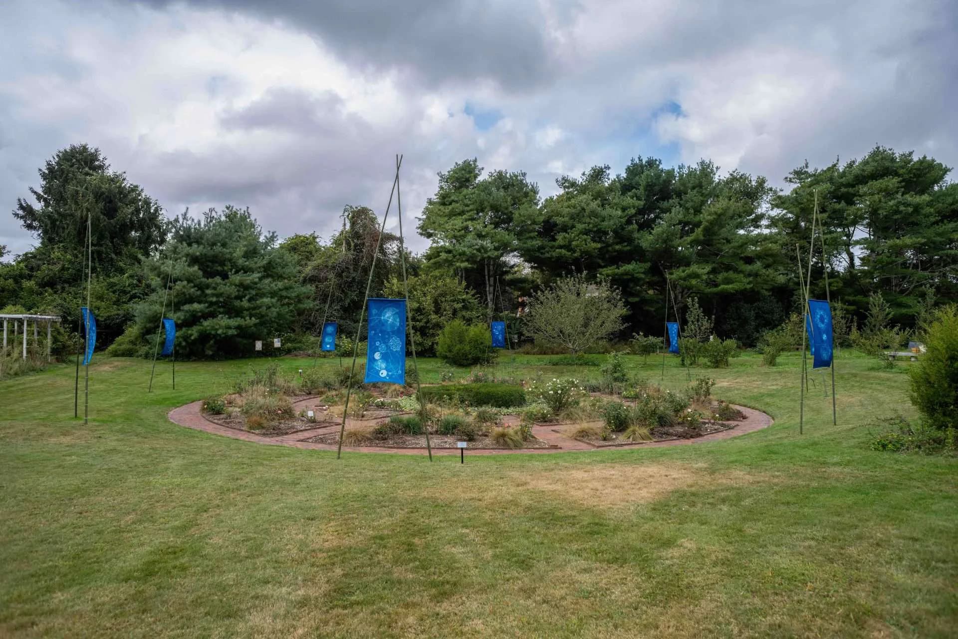 Artwork 01 by Andrea Cote