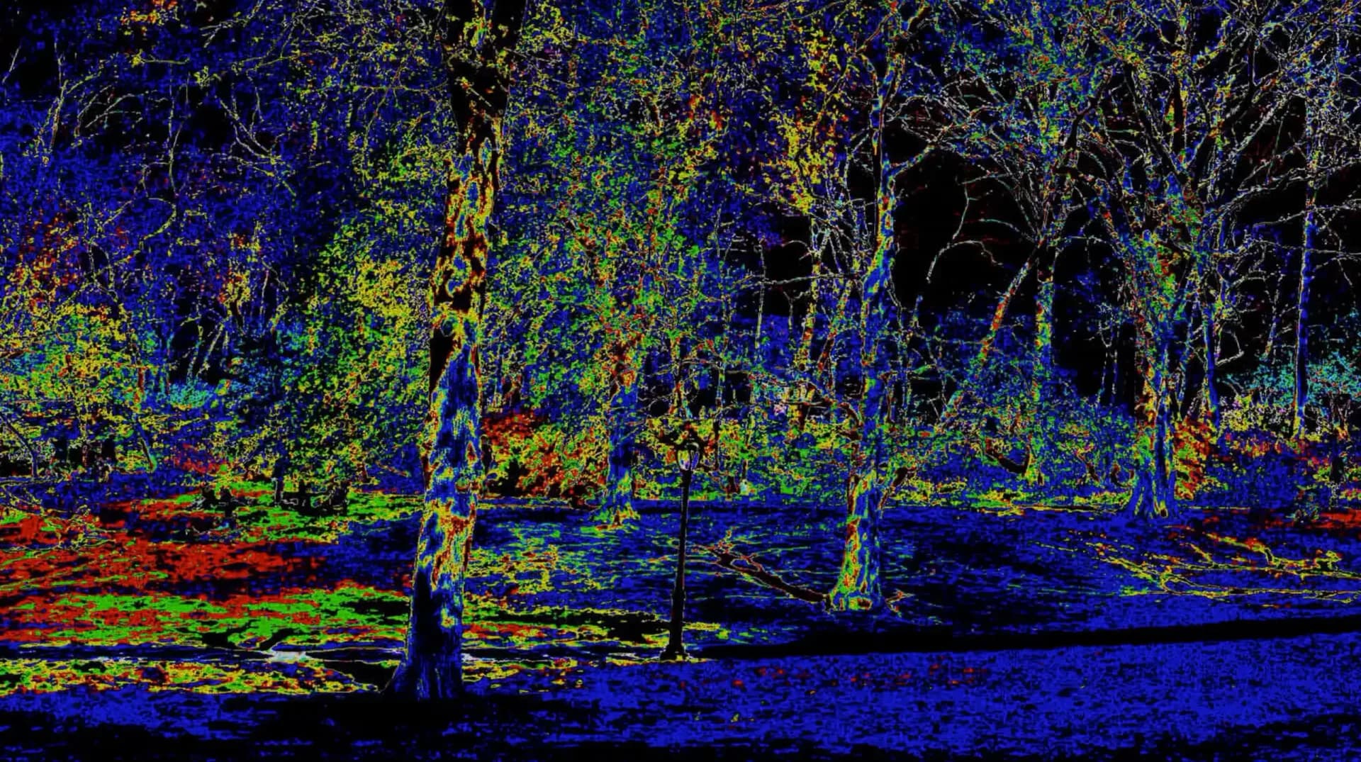 Thermal or digital imaging artwork of a forest scene with trees rendered in vibrant blues, yellows, greens, and reds against dark backgrounds.
