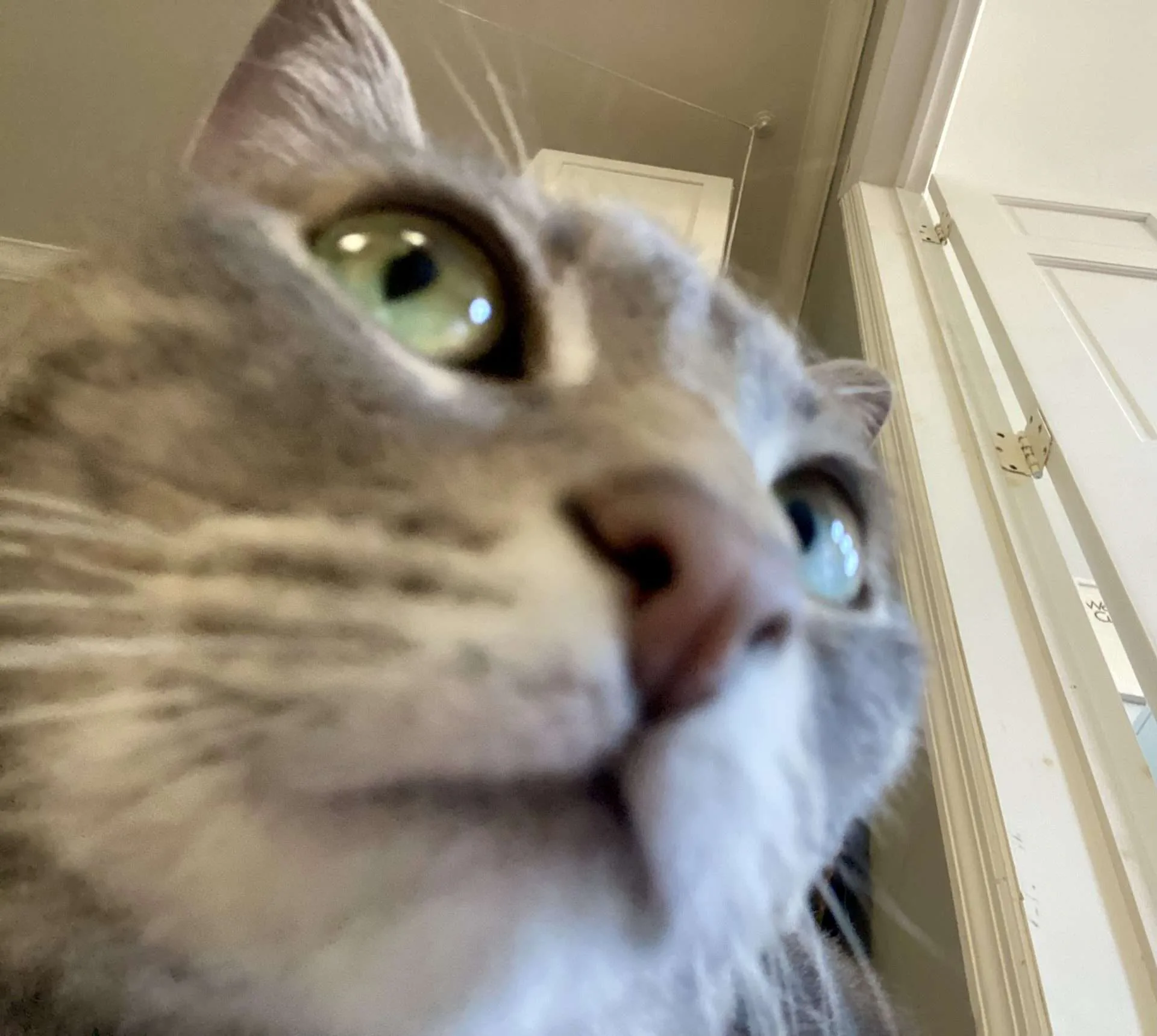 Hero artwork by Ariana Swei