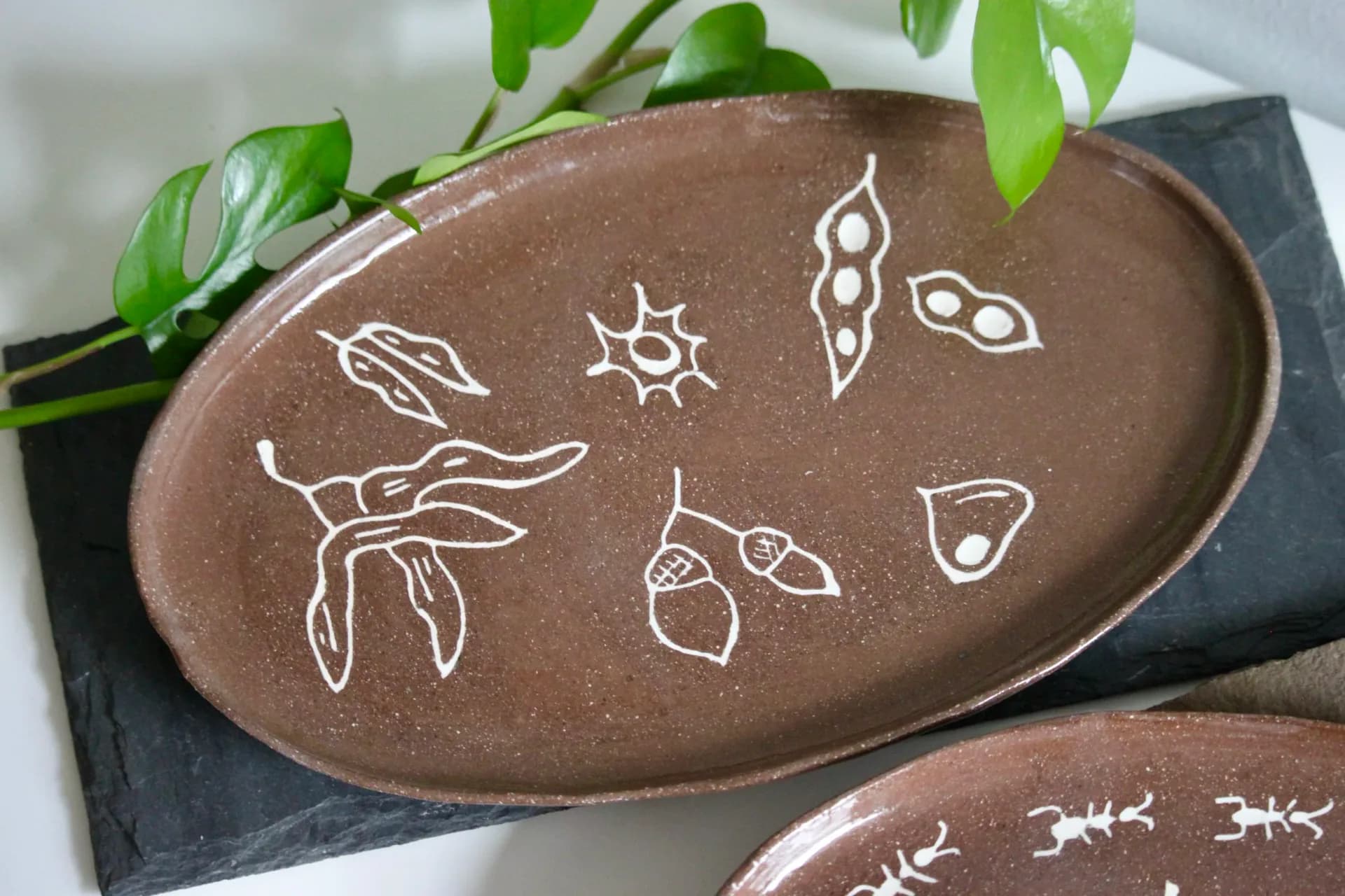 Dark brown ceramic plate with sgraffito white ant and seed pod motifs
