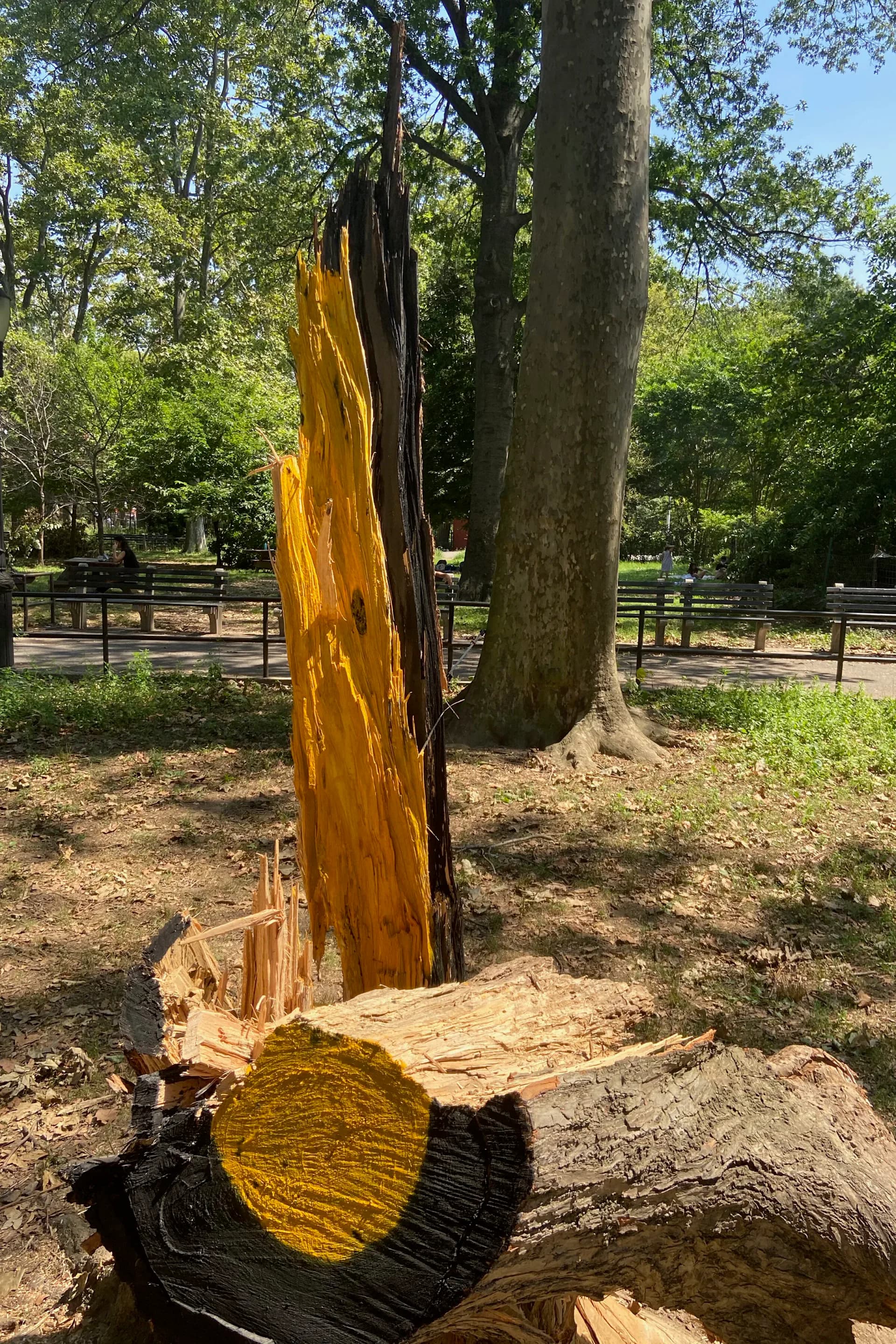 Yellow and black painted fallen tree trunk in park setting