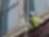 Highly blurred, cropped image of architectural elements; details unclear.