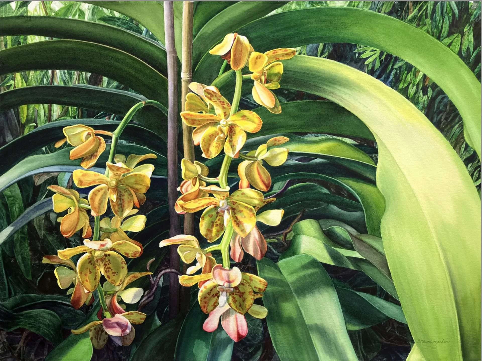 Artwork 02 by Bonnie Steinsnyder