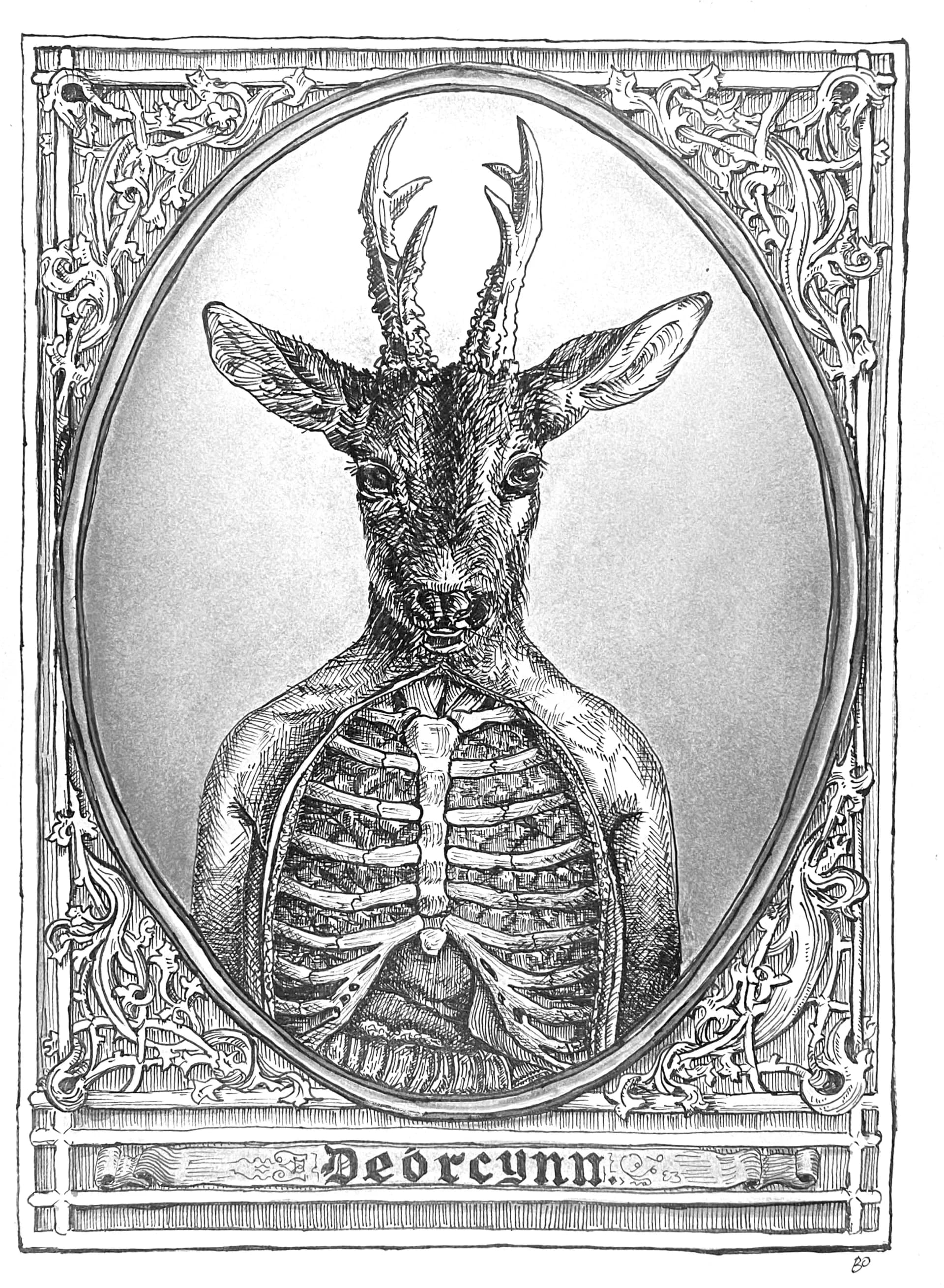 Detailed ink drawing of Deorcynn - deer-headed figure with exposed ribcage in ornate oval frame