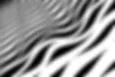 Abstract close-up of wavy black and white stripes or patterns with shallow depth of field.