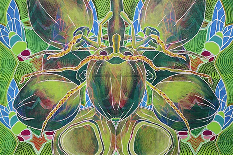 Symmetrical mixed-media composition featuring abstracted insect or beetle forms in vibrant greens, blues, golds, and earth tones with ornate patterning.