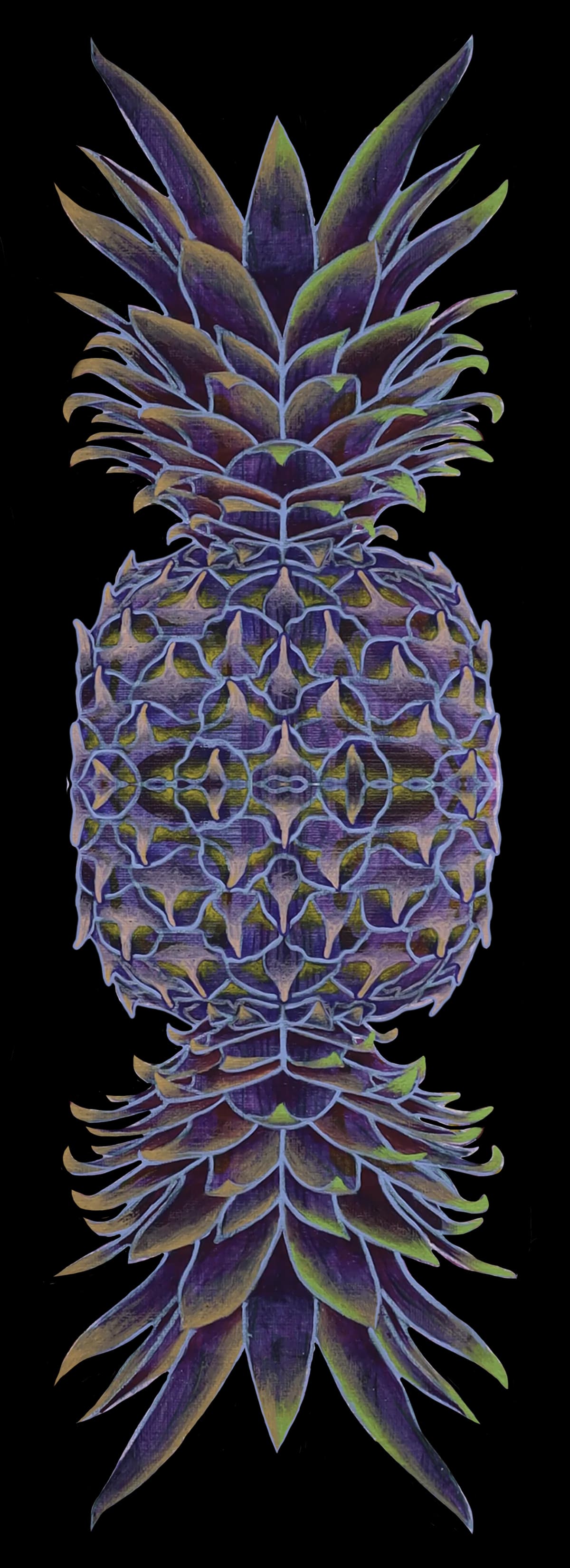 Detailed botanical illustration of a pineapple in deep purples, blues, and greens with metallic accents, rendered in colored pencil or paint.
