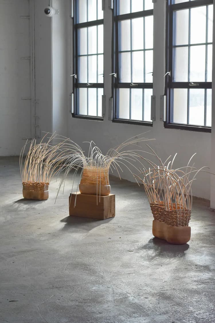 Three woven basket sculptures with extending reed-like elements displayed in gallery space