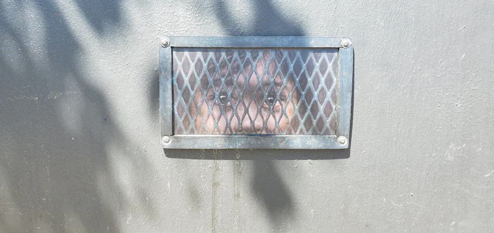 Hero artwork by Dan Witz