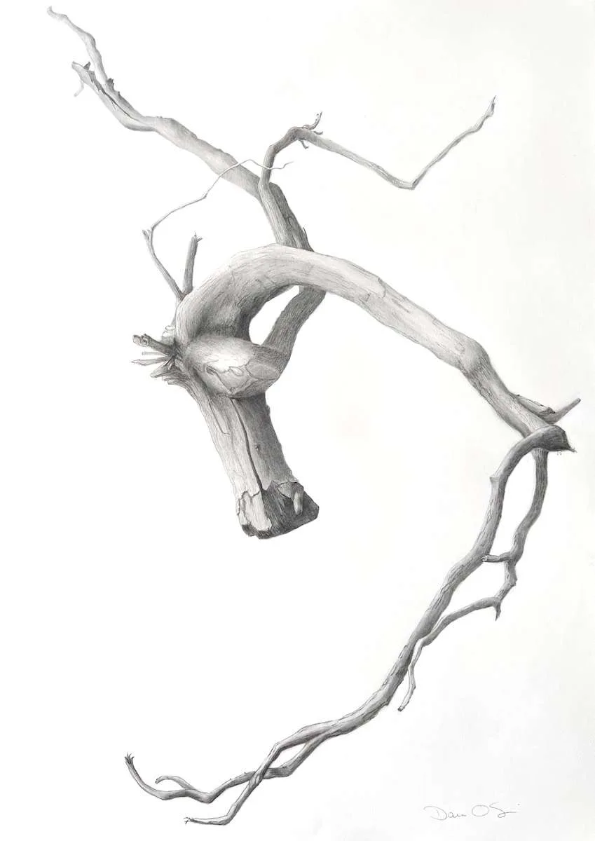 Hero artwork by Dara Oshin