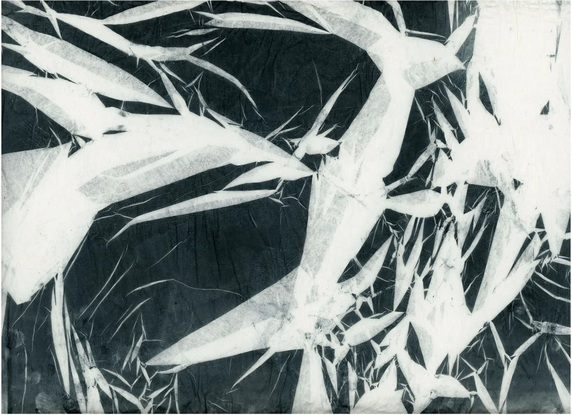 Large-scale monotype print with bold white spiky botanical forms on dark ground