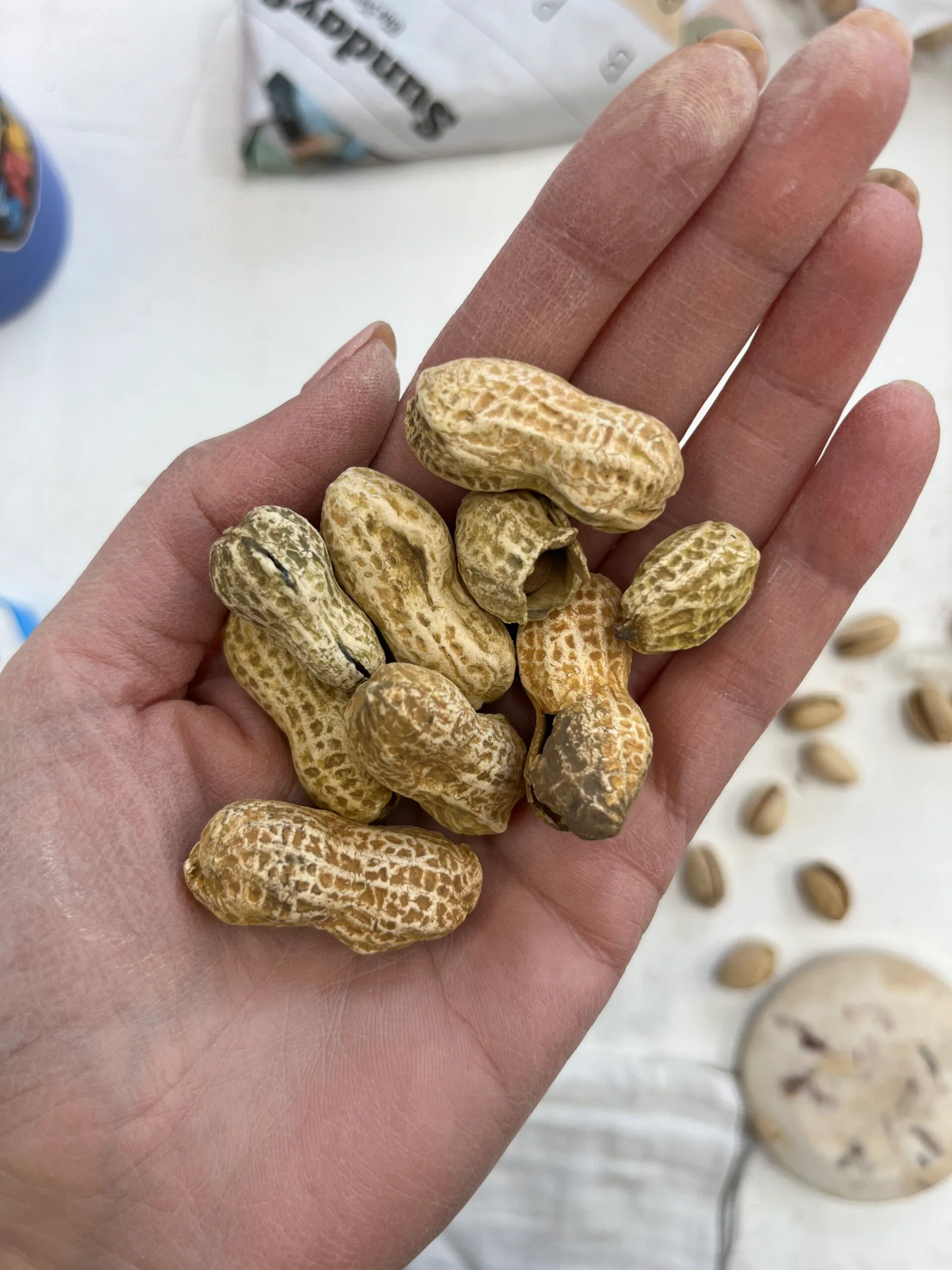 Artwork 01 by Dena Soukieh