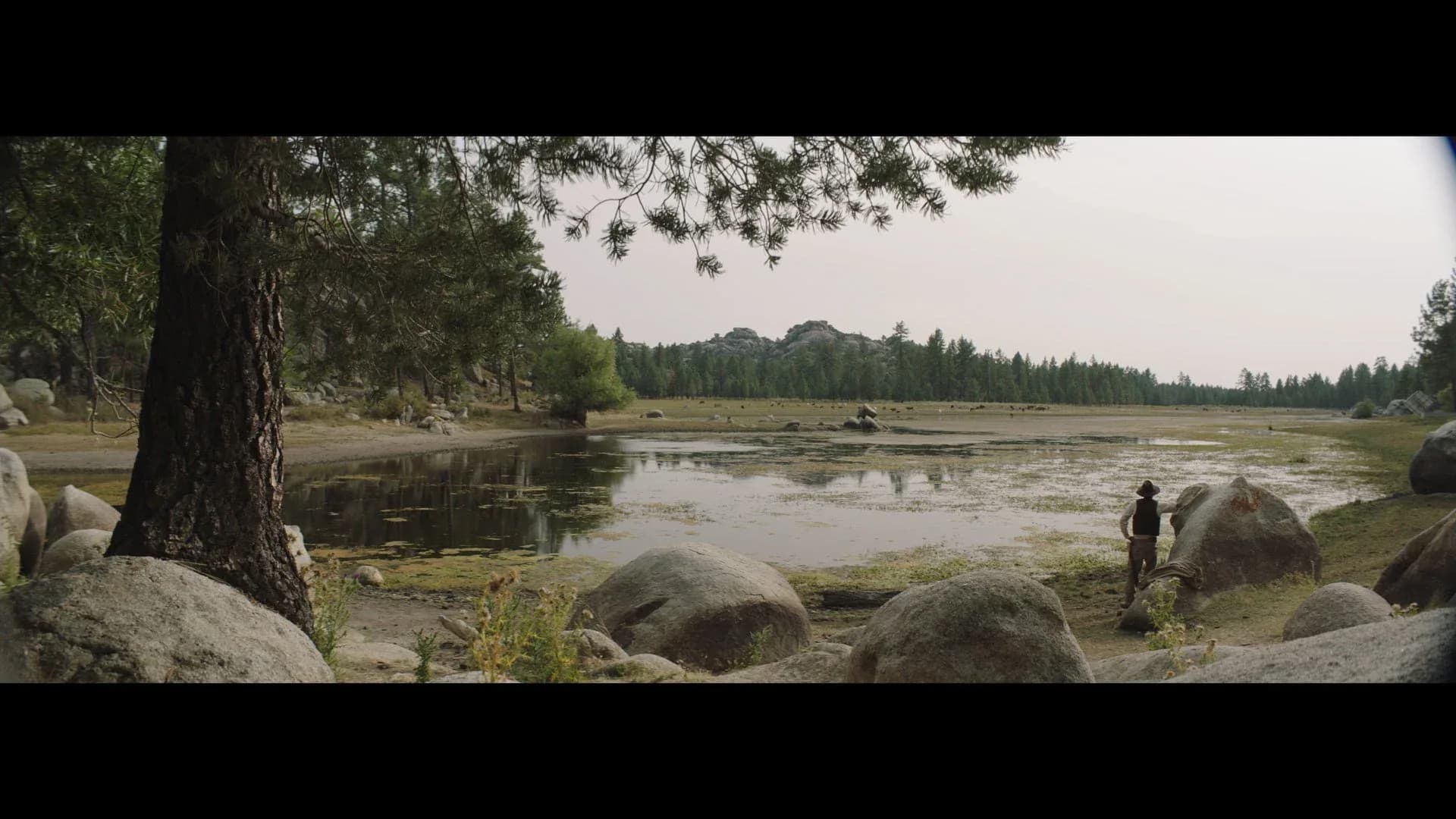 Cinematic wide shot of a rocky lakeside landscape with a lone figure among boulders and pine trees