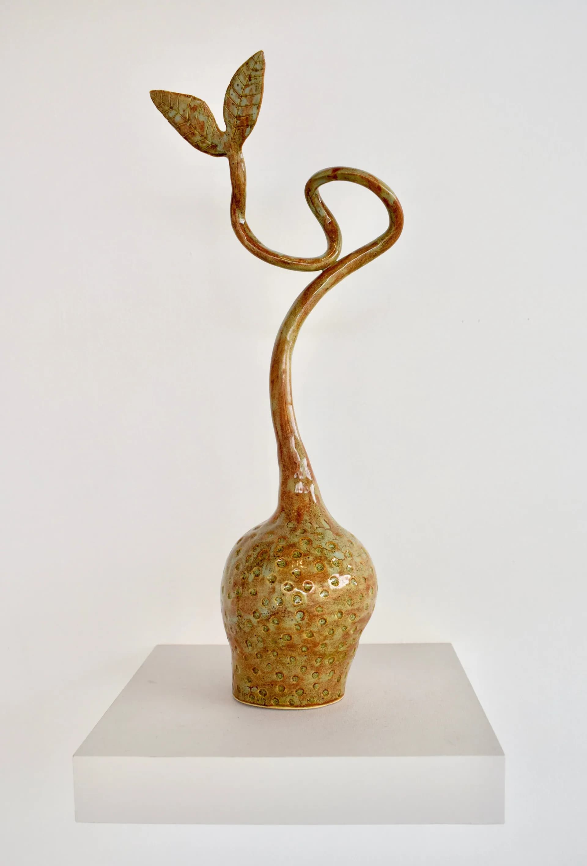 Glazed ceramic sprout sculpture with twisted stem and leaf forms on white pedestal