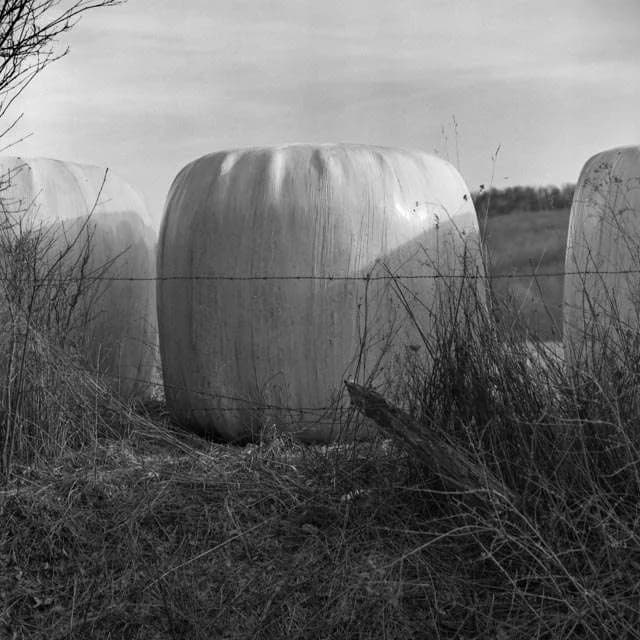 Hero artwork by Fred Rosenberg