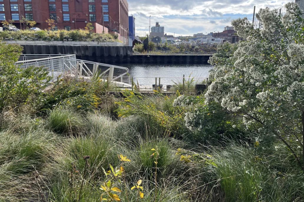 Lush native plantings along the Gowanus Canal waterfront with canal and urban skyline in background
