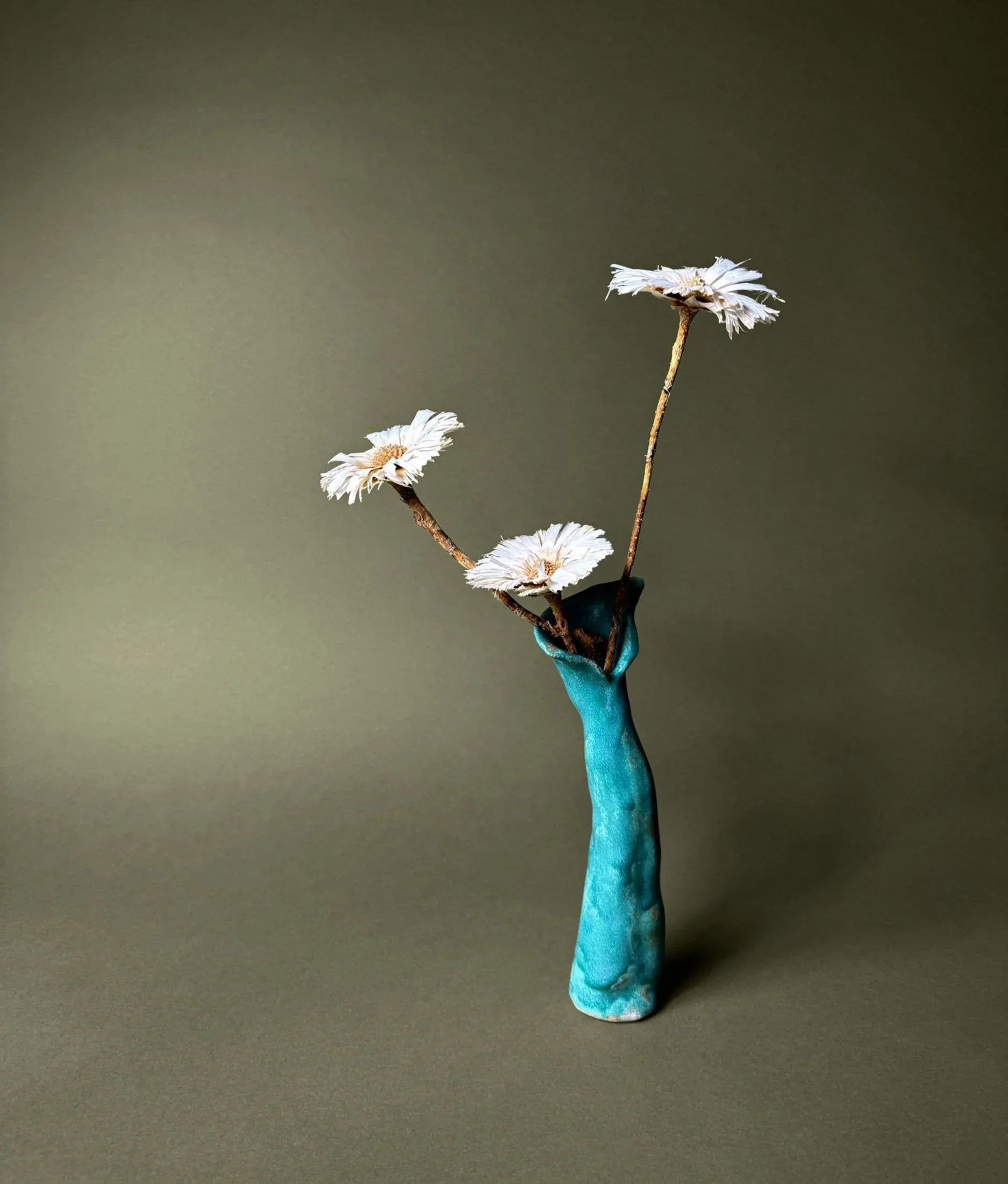Turquoise ceramic bud vase with dried daisy flowers on olive green background