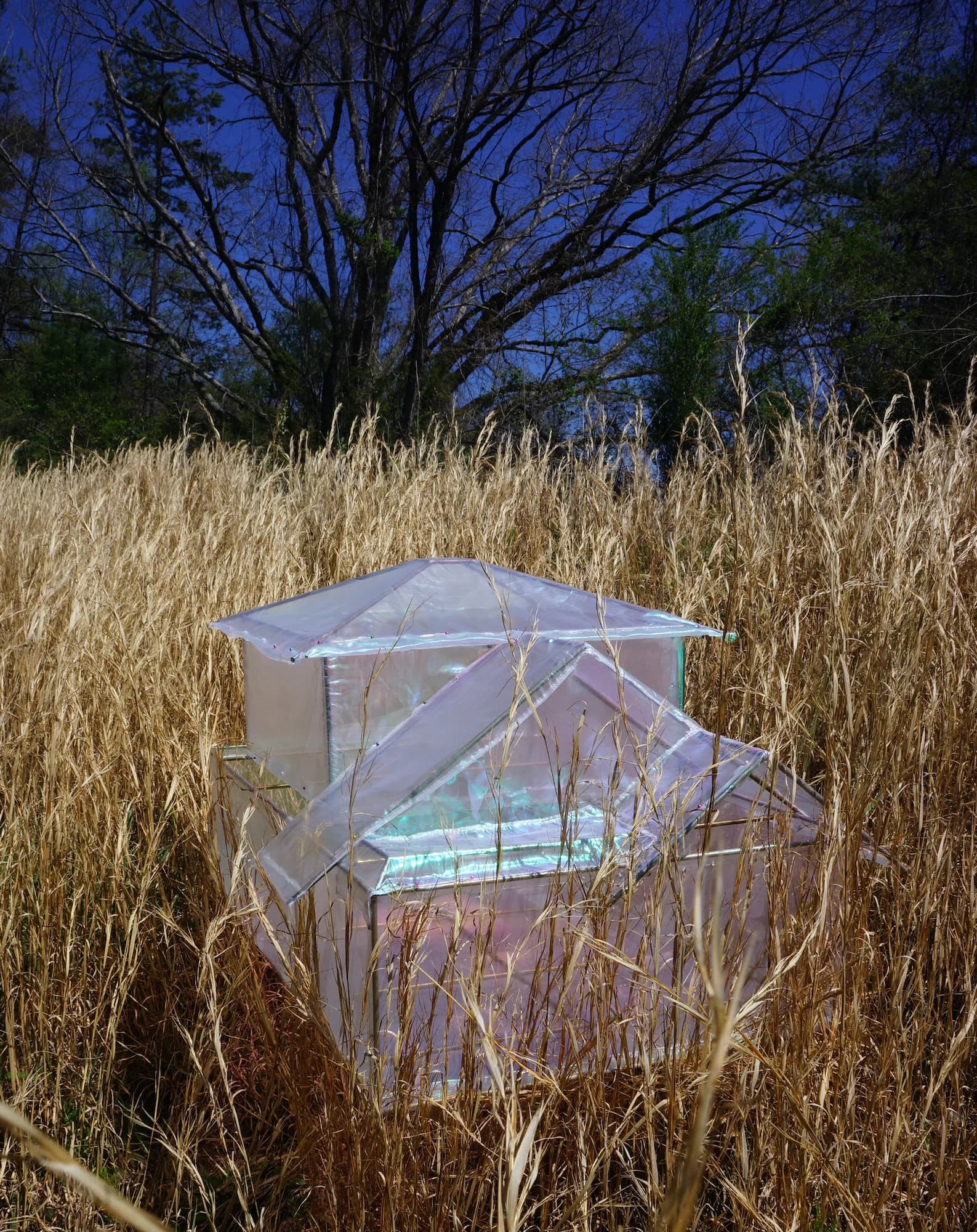 Artwork 02 by Isabel Theselius