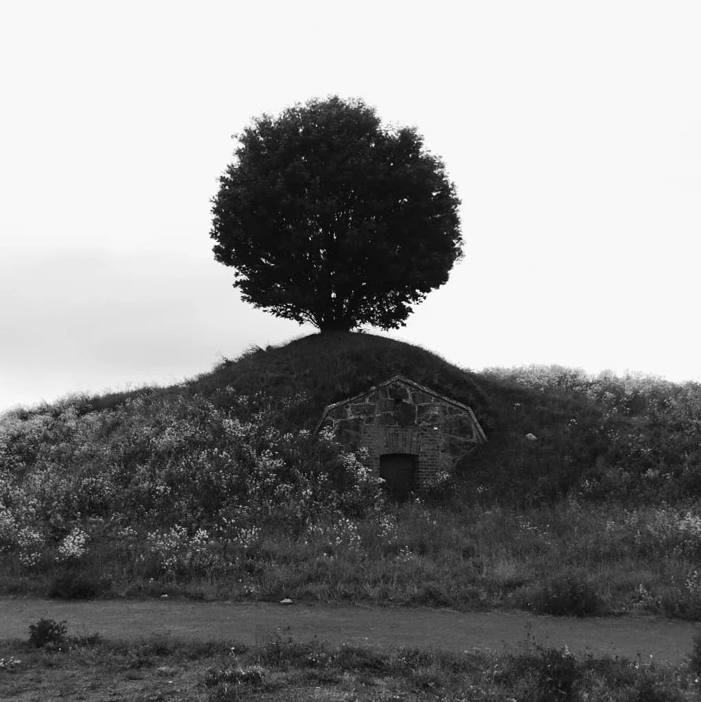 Black and white photograph of a solitary tree atop a grass mound with an old stone cellar door