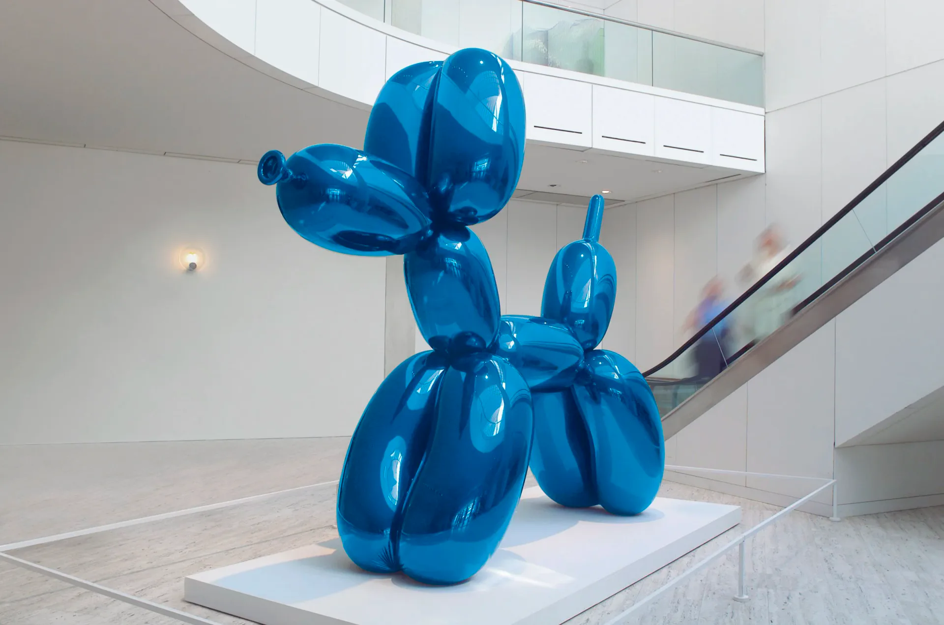 Shiny blue reflective balloon dog sculpture by Jeff Koons displayed in a minimalist white gallery space with curved architecture.