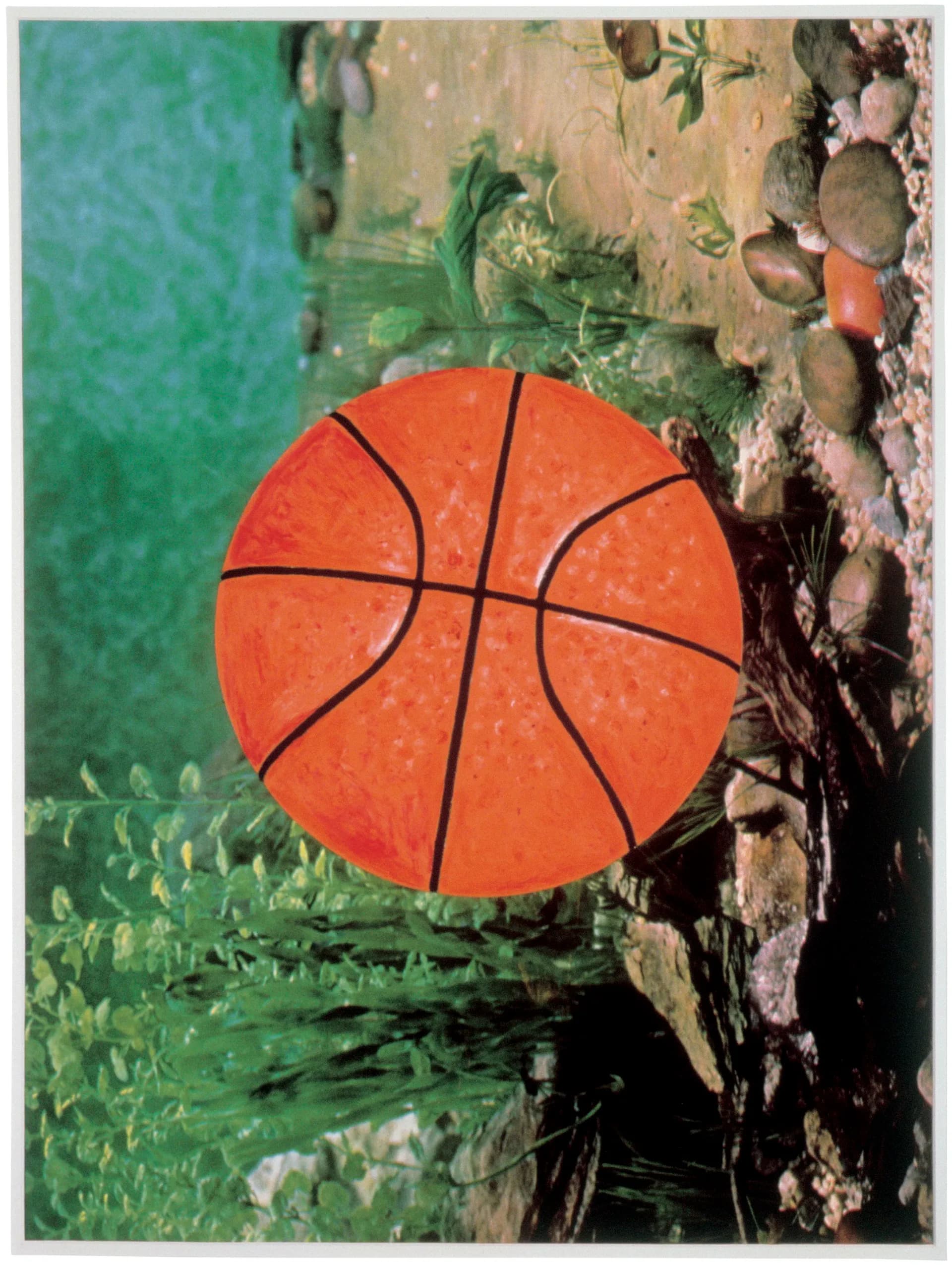 Orange basketball with black panel lines resting against weathered rock and coral formation in an outdoor natural setting.