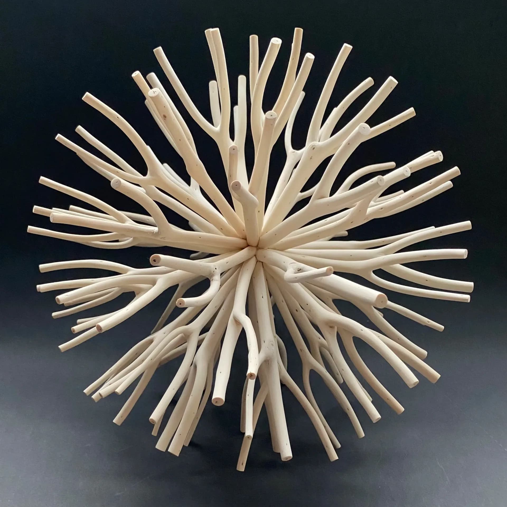Radial mitsumata branch sculpture with cream-colored stems exploding outward against black background