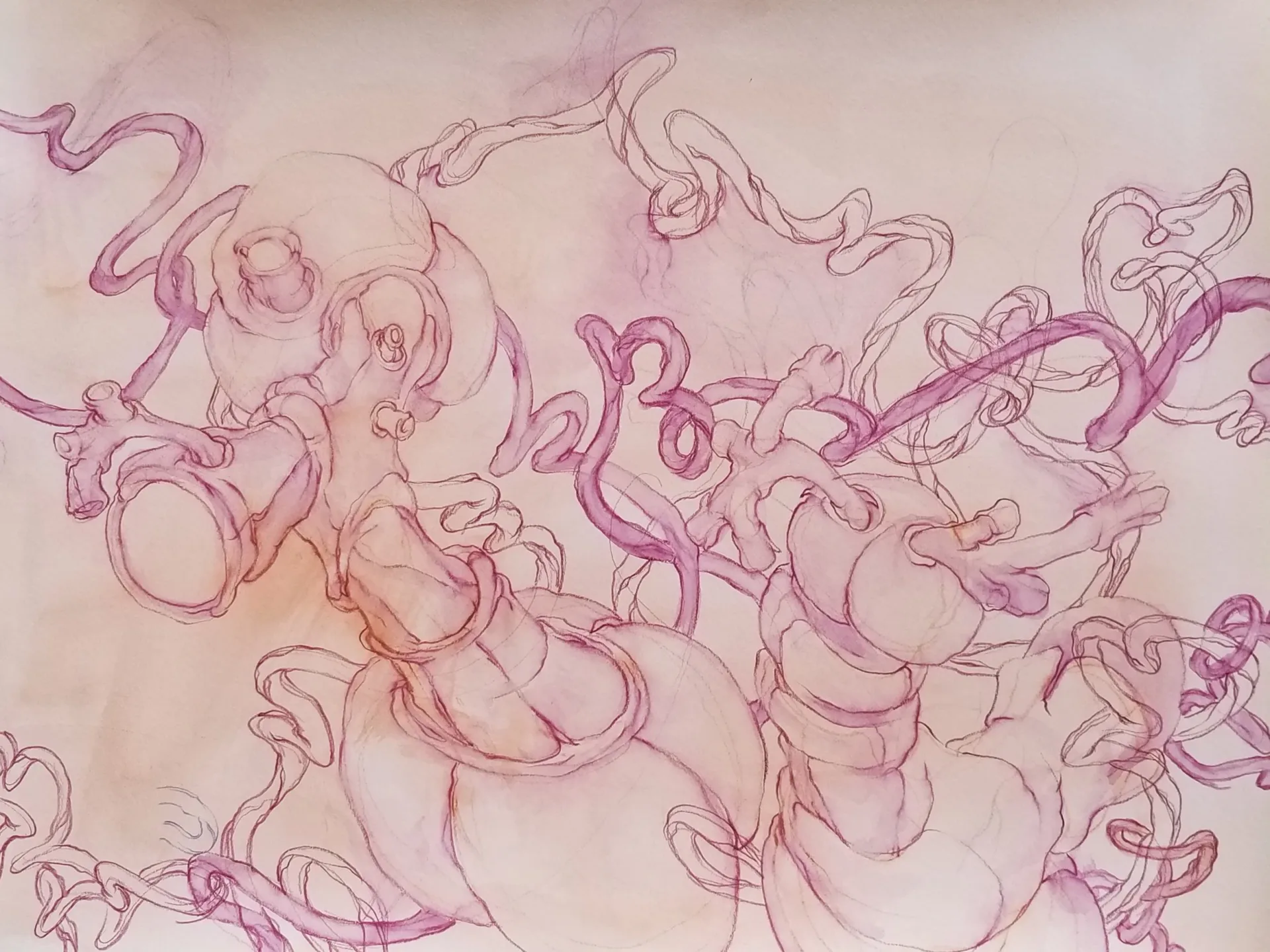 Watercolor painting with curving biomorphic shapes in soft pink and peach gradients on cream background.