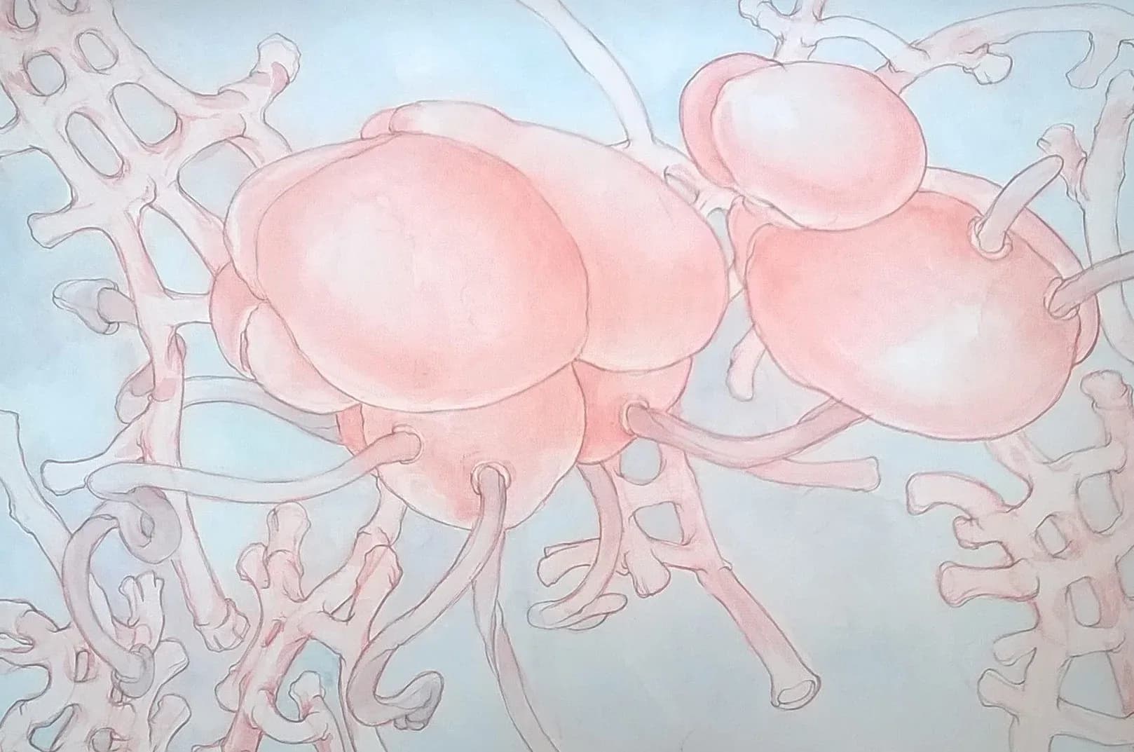 Watercolor painting of three large pink rounded forms with organic line work and light blue background.