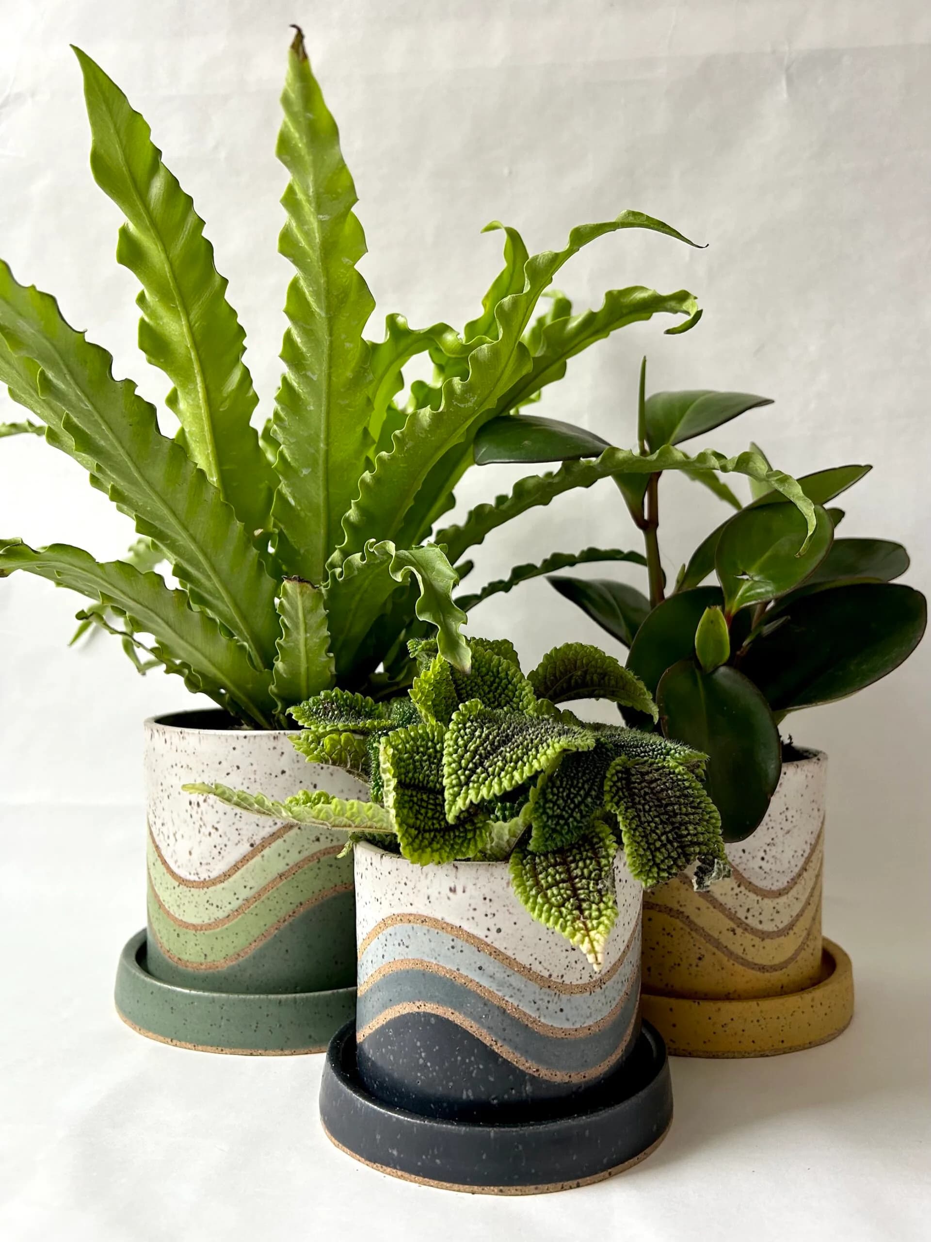 Artwork 02 by Julie Arbit