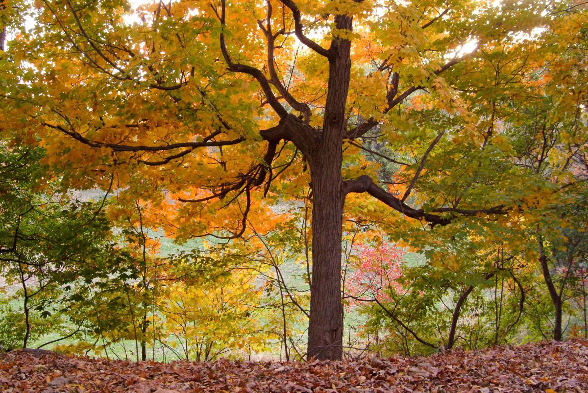 Hero artwork by Kathleen Collins