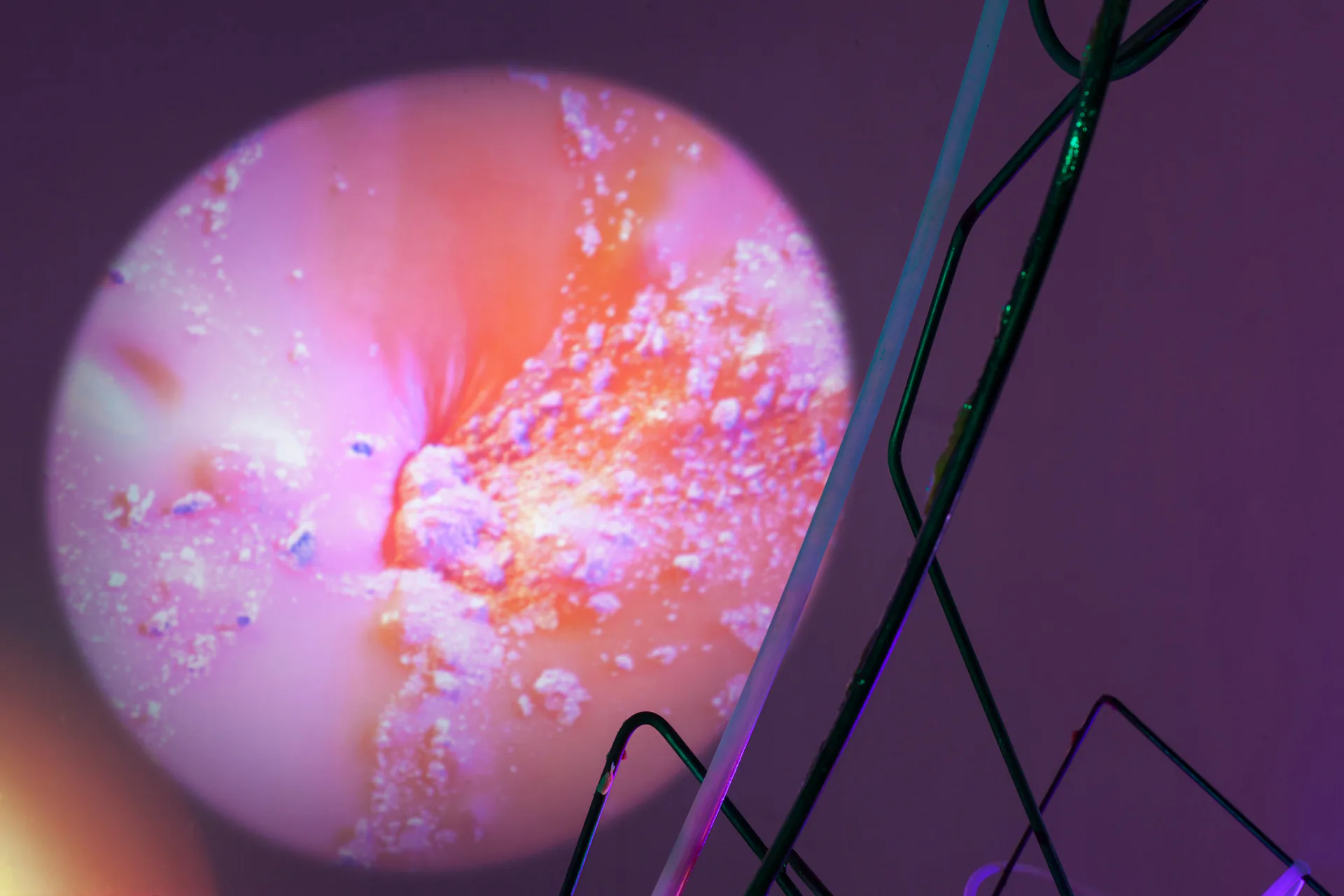 Illuminated spherical form glowing pink, orange, and yellow with luminescent particles inside, suspended against purple background.