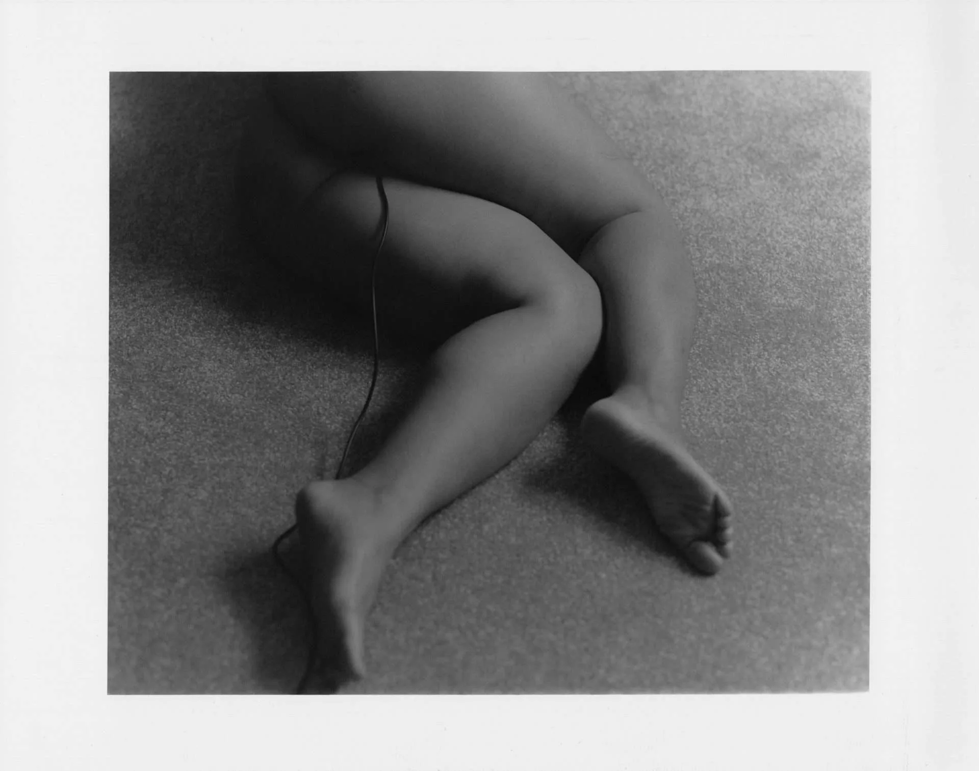 Hero artwork by Lauren Oliver