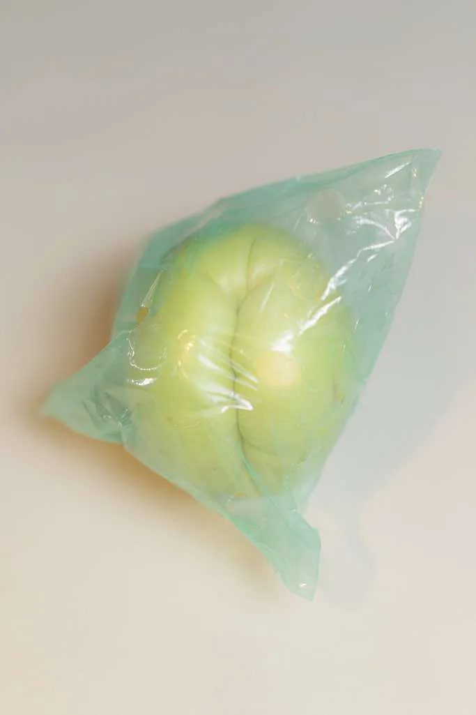 Artwork 04 by Lisa Schatz