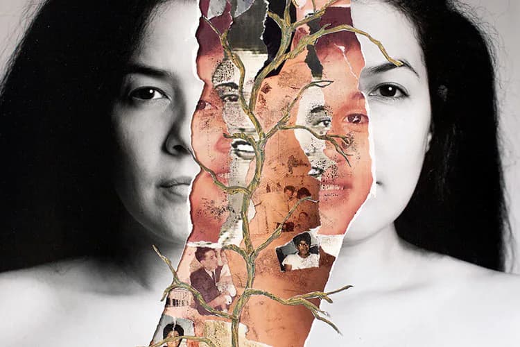 Mixed-media portrait of a woman's face split vertically; left side is grayscale photography, right side features collaged dried flowers and botanical elements in warm tones.