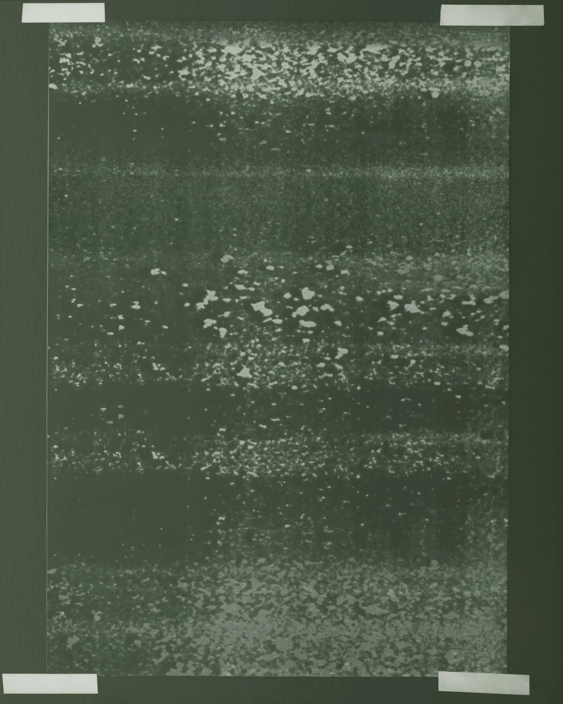 Dark green abstract print with textured white speckled pattern