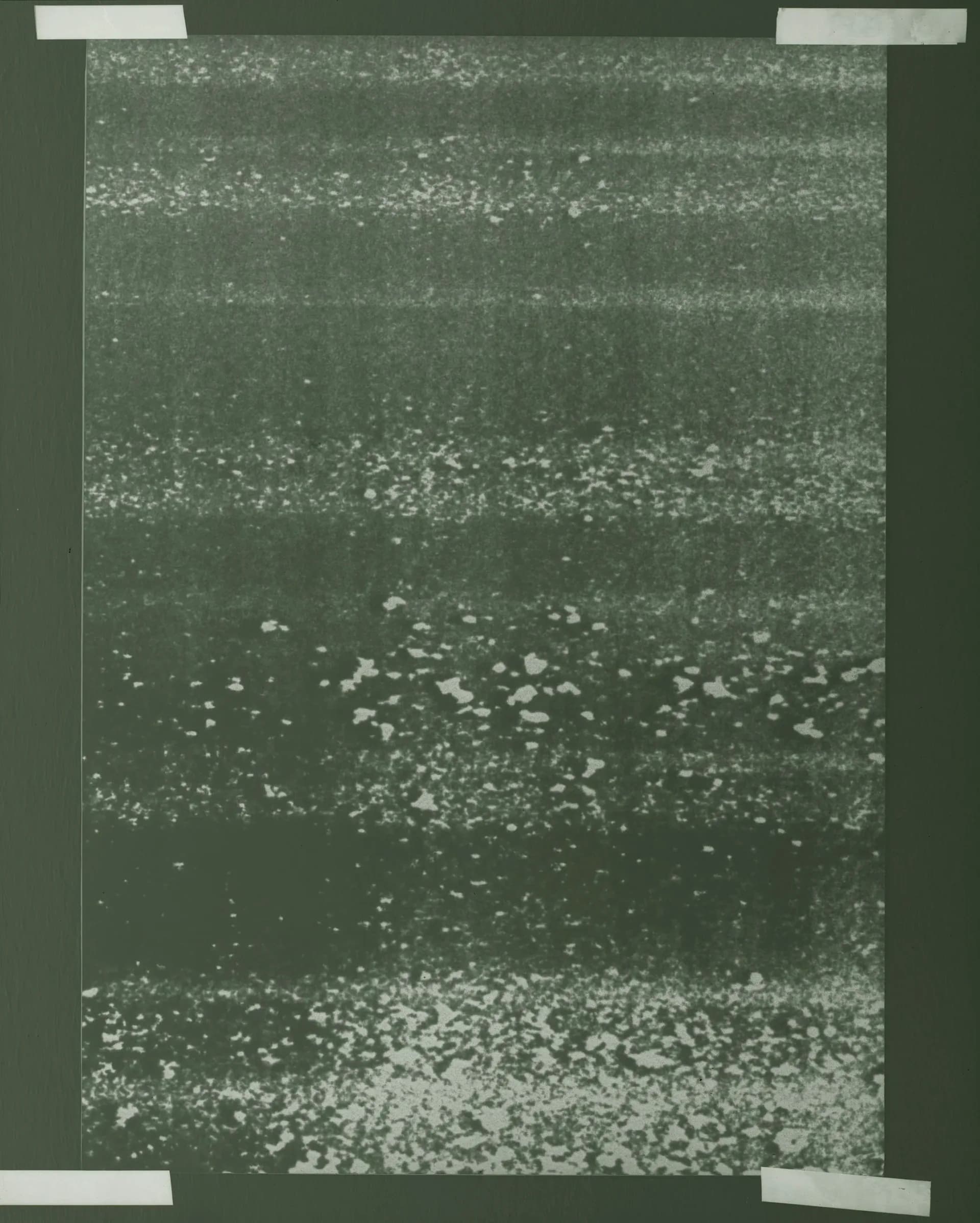 Dark green abstract print with horizontal bands of white speckled texture
