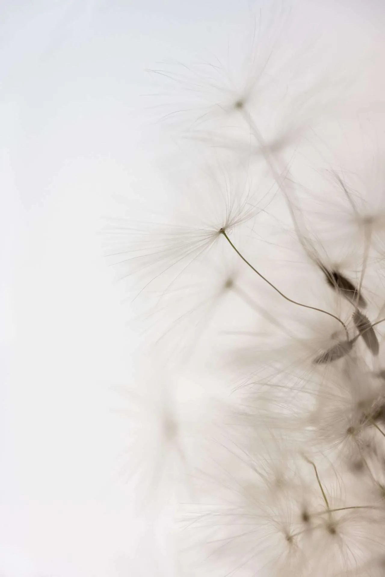 Artwork 02 by MG Vander Elst