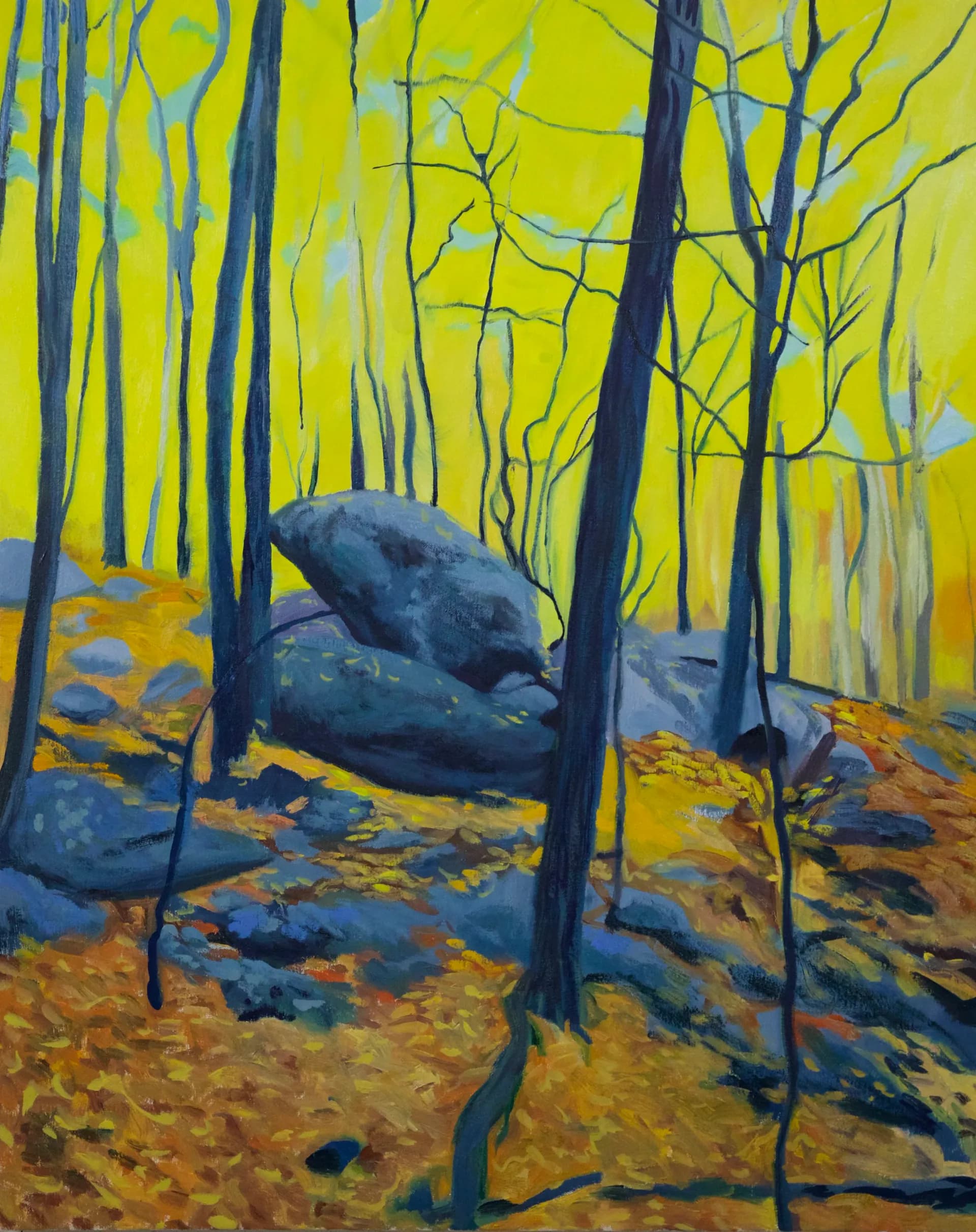 Forest interior with yellow-green light and large boulders among dark tree trunks