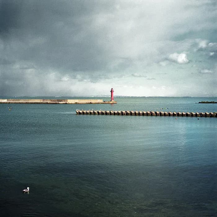 Harbor with red lighthouse, breakwater, and lone seagull under dramatic stormy sky
