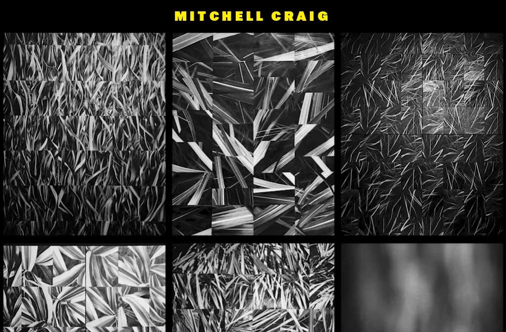 Grid of six black and white abstract compositions featuring gestural brushstrokes and organic mark-making, with Mitchell Craig's name in yellow text above.