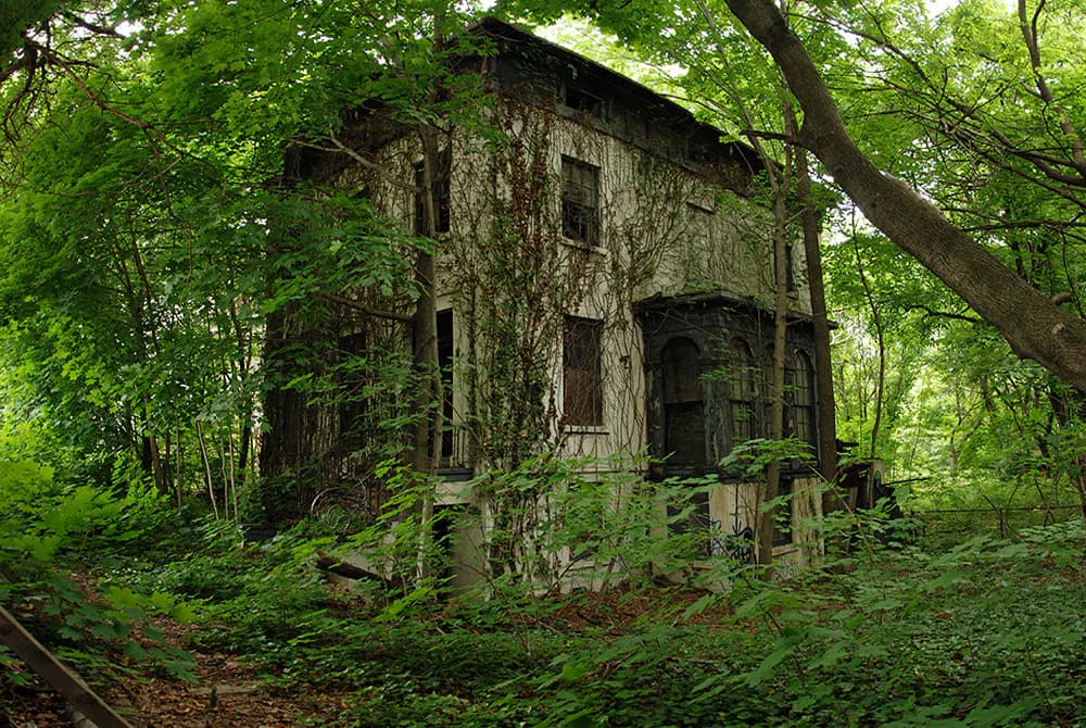 Overgrown abandoned building engulfed by lush green vegetation