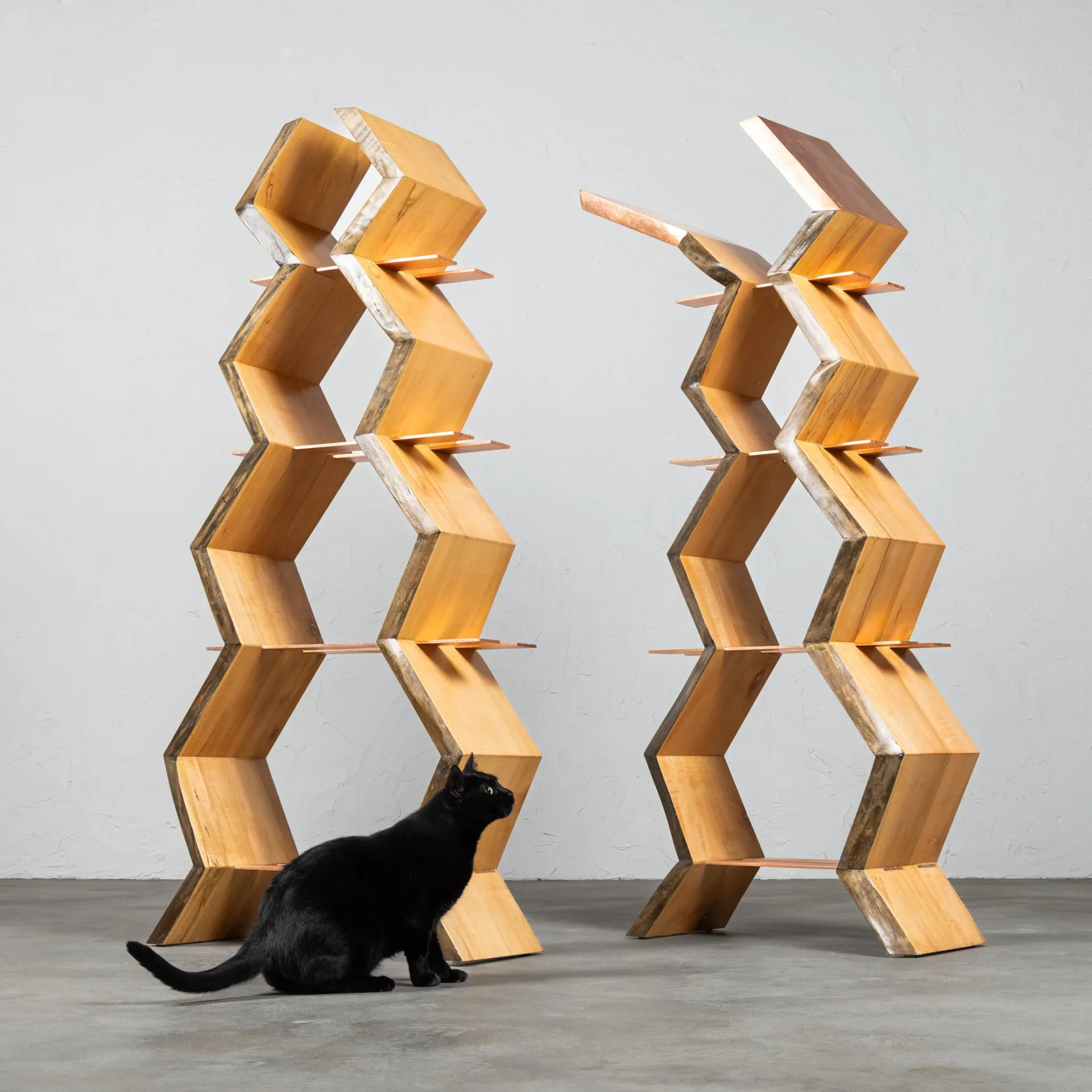 Pair of Friends Bookcases in natural wood with copper accents and geometric hexagonal stacked form, with black cat