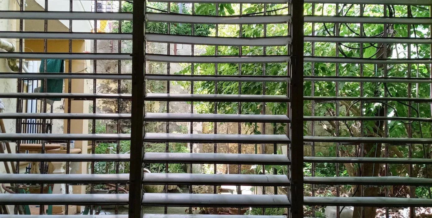 Interior view through black metal railings showing bookshelves and green foliage in background, suggesting a gallery or studio space.
