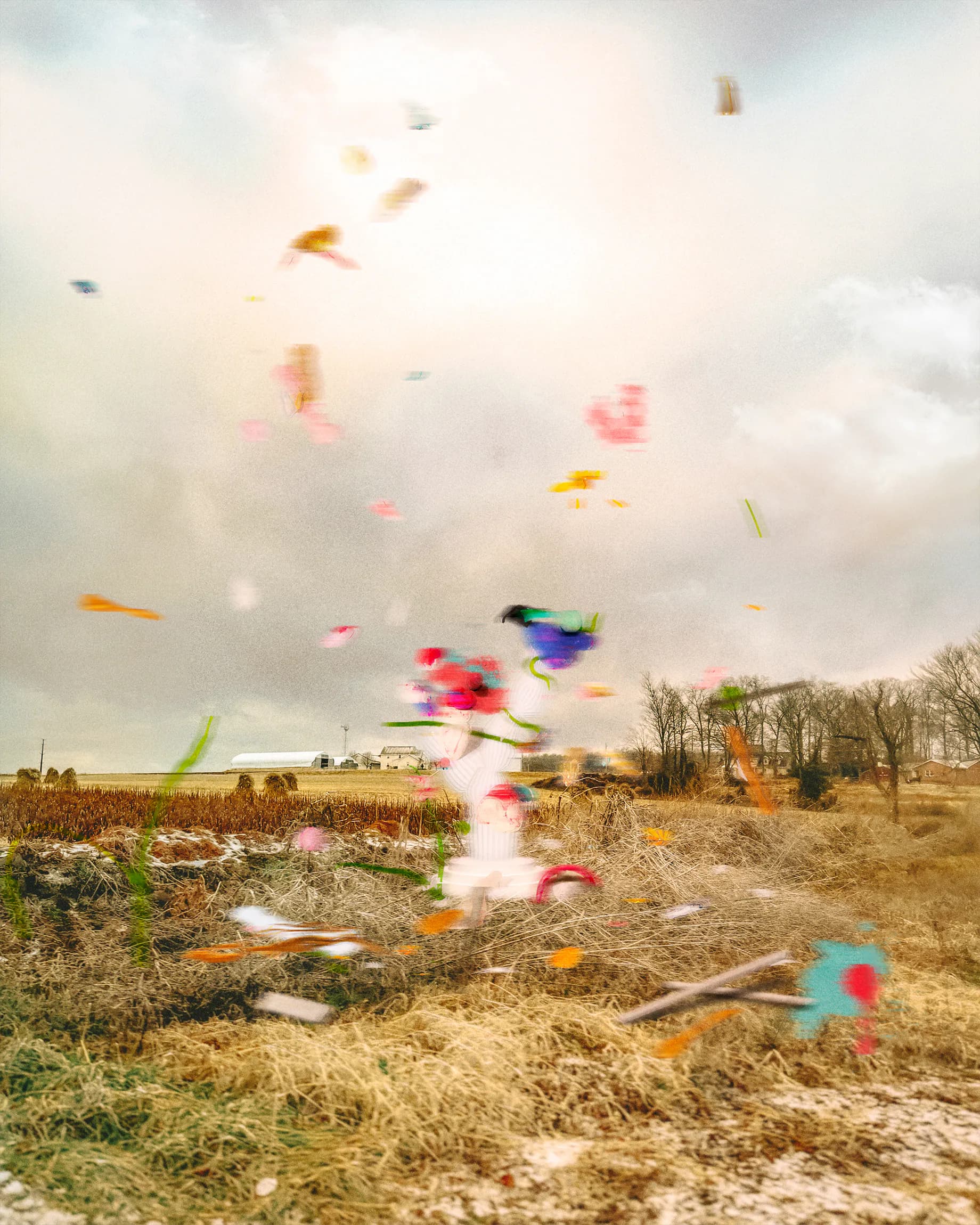 Hero artwork by Nicole Licht