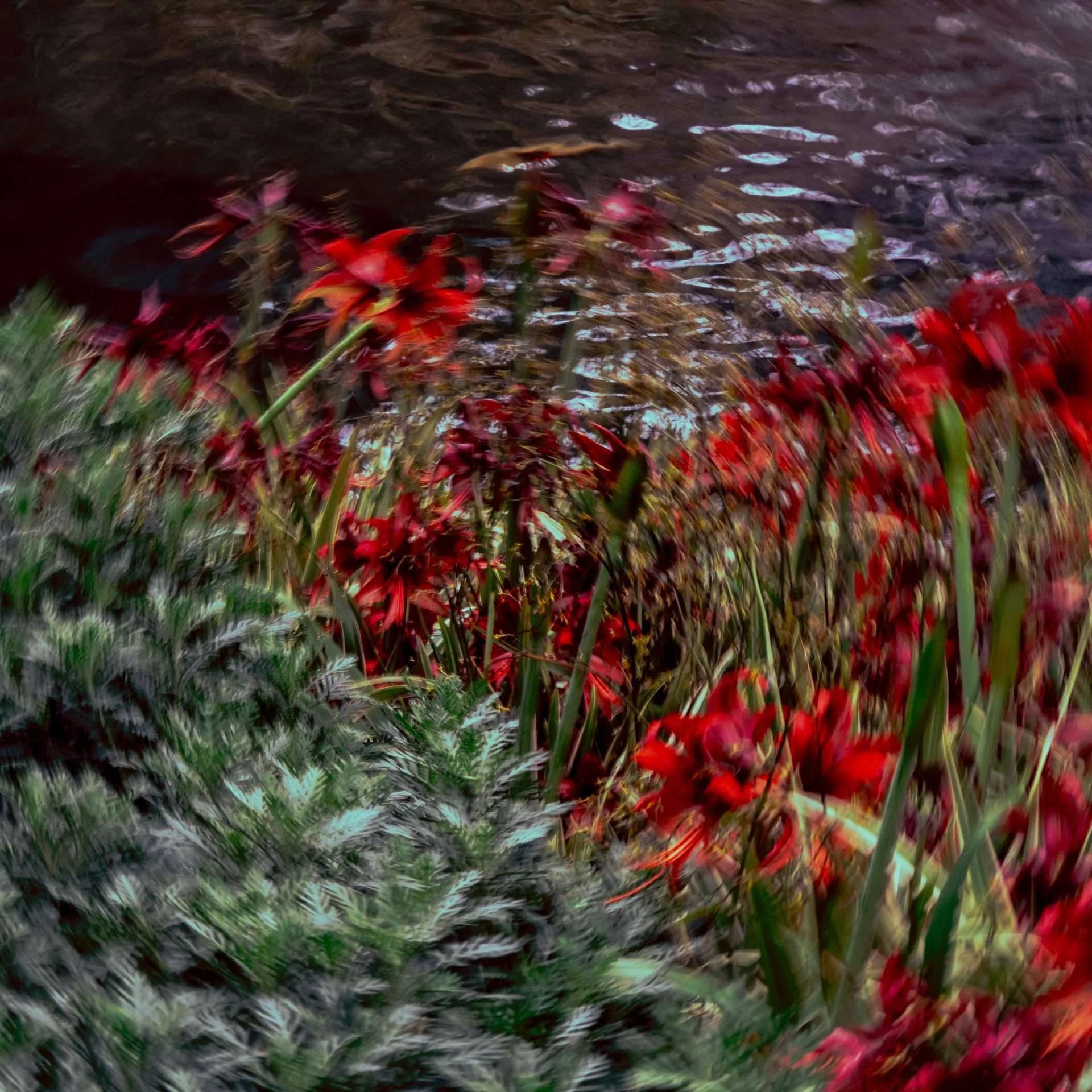 Hero artwork by Patrizia Messineo